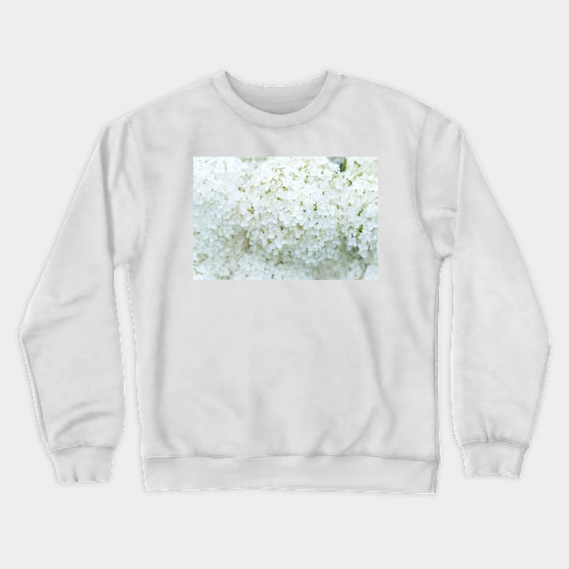 Delicate White Hydrangea Flowers Crewneck Sweatshirt by Amy-K-Mitchell